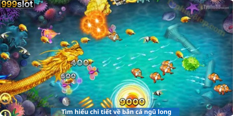 Tìm hiểu chi tiết về bắn cá ngũ long